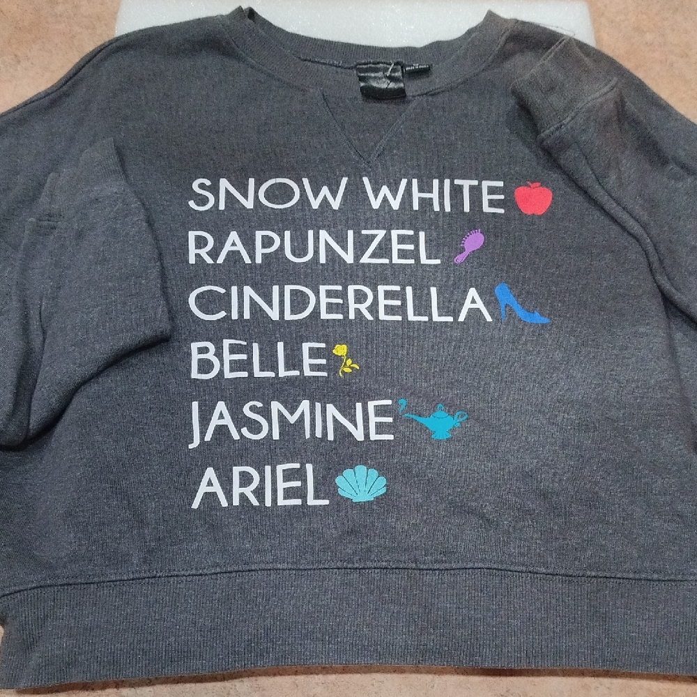 Gray Disney Princess Sweatshirt